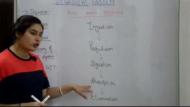 Digestive system anatomy & physiology in hindi   functions   walls   layers of GI tract