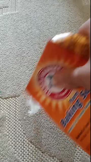 Baking soda & vinegar carpet stain busting!!! #shorts