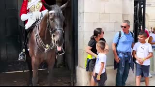 People Who Messed With The Royal Guard And Instantly Regret It !