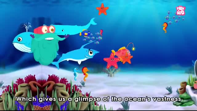 How Deep Is The Ocean   OCEAN DEPTH   Dr Binocs Show   Peekaboo Kidz