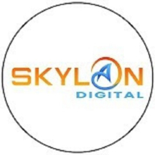 skylandigital1